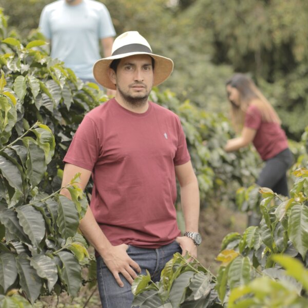 Camiseta Zafra vinotinto 100% algodón