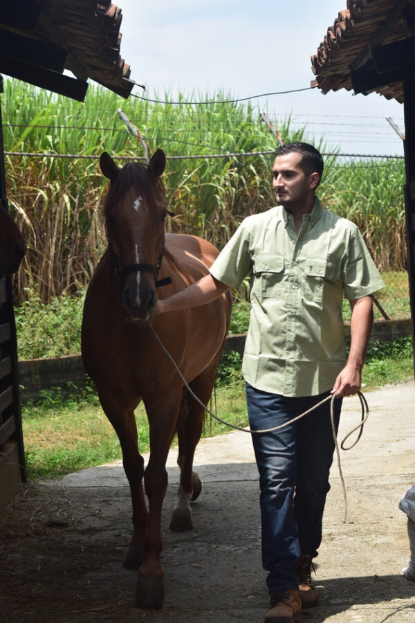 Camisa Silo Verde Oliva