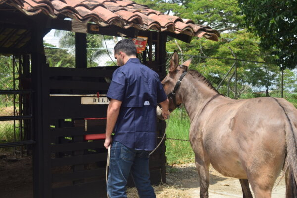 Camisa Silo Navy Blue